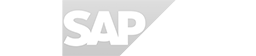 Synthetic Data Generator clients - SAP